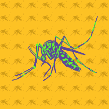 Gene-Drive-Mücken